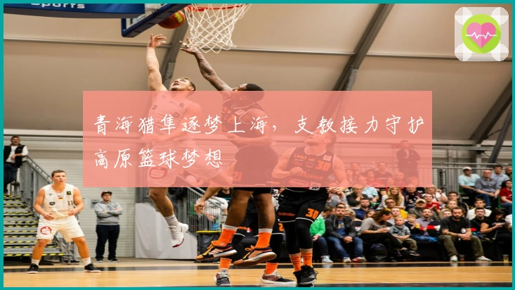 青海猎隼逐梦上海，支教接力守护高原篮球梦想