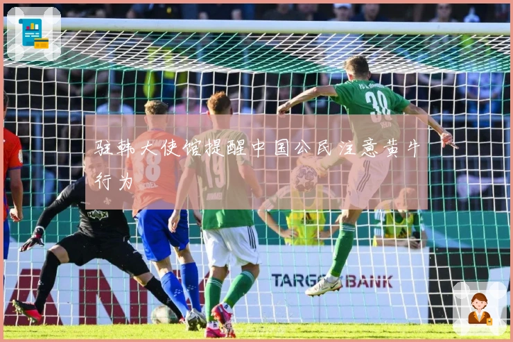 驻韩大使馆提醒中国公民注意黄牛行为