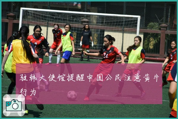 驻韩大使馆提醒中国公民注意黄牛行为